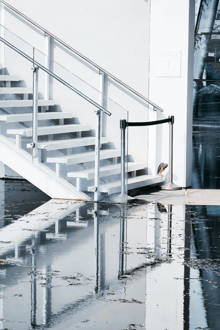 Услуги по осушению домов и квартир после затопления | Работаем по всей ...